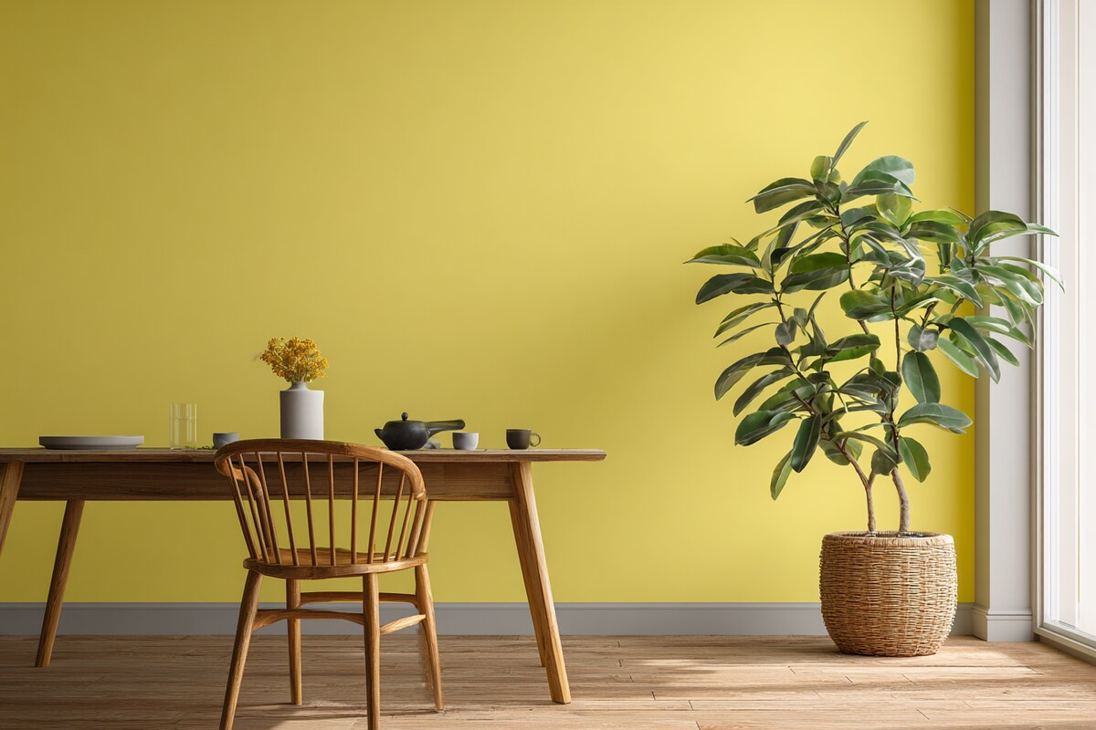 Bright Lime Yellow Wall Paint Design for a Contemporary Look